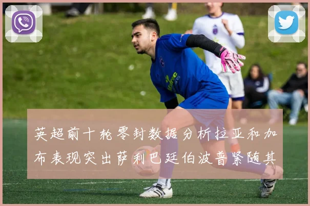 英超前十轮零封数据分析拉亚和加布表现突出萨利巴廷伯波普紧随其后