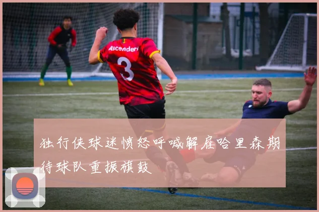 独行侠球迷愤怒呼喊解雇哈里森期待球队重振旗鼓