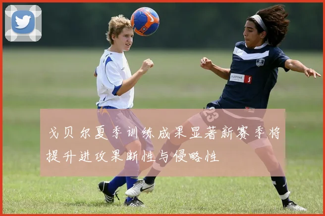 戈贝尔夏季训练成果显著新赛季将提升进攻果断性与侵略性