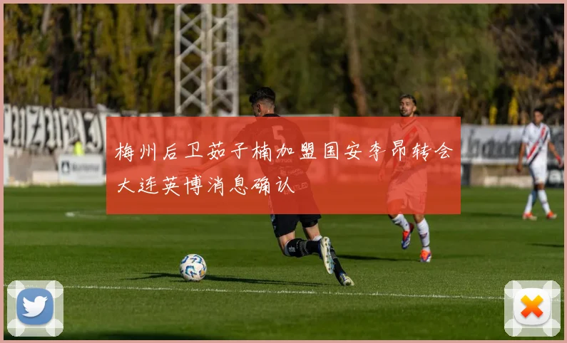 梅州后卫茹子楠加盟国安李昂转会大连英博消息确认