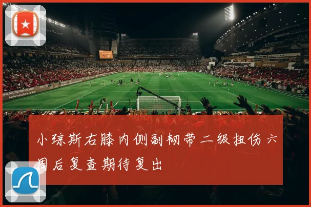 小琼斯右膝内侧副韧带二级扭伤六周后复查期待复出