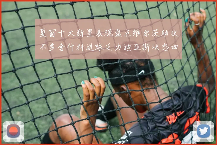 夏窗十大新星表现盘点维尔茨助攻不多舍什科进球乏力迪亚斯状态回暖