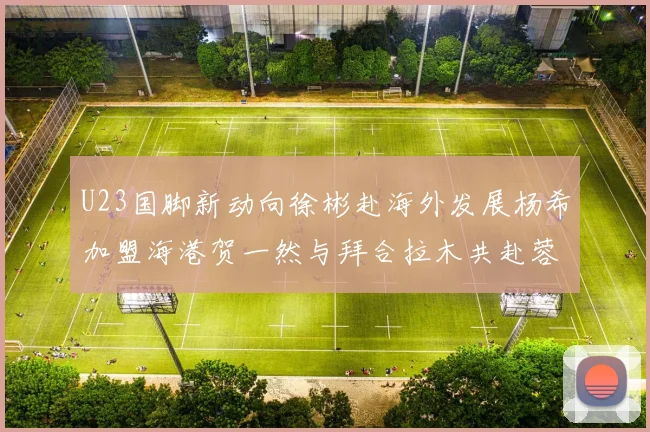 U23国脚新动向徐彬赴海外发展杨希加盟海港贺一然与拜合拉木共赴蓉城