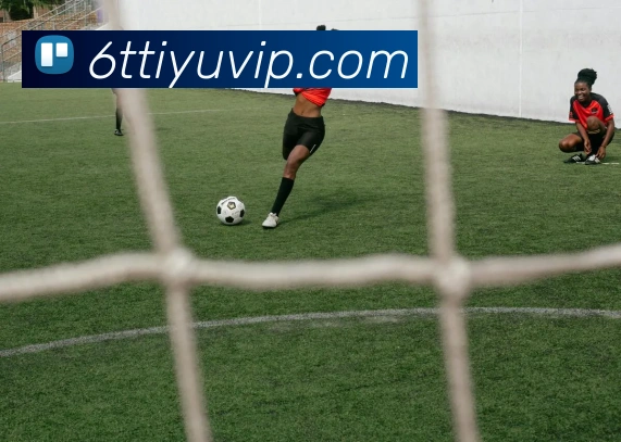 6T体育平台生态图