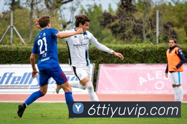 6T体育APP 封面图